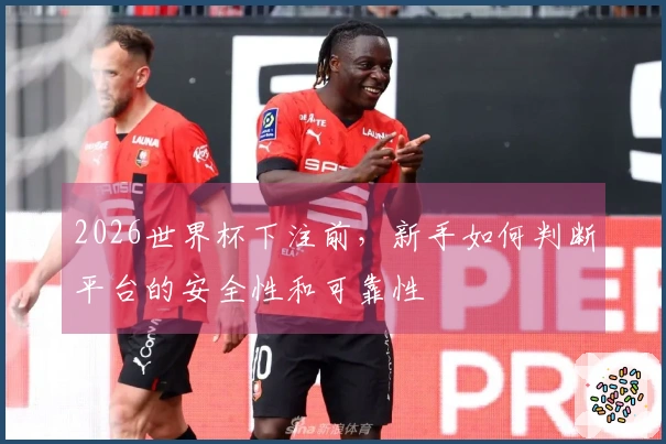 2026世界杯下注前，新手如何判断平台的安全性和可靠性