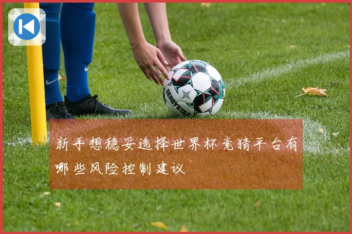 新手想稳妥选择世界杯竞猜平台有哪些风险控制建议