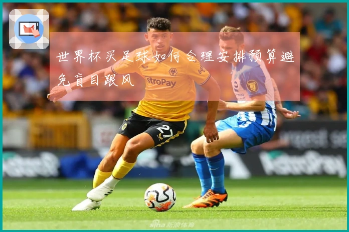 世界杯买足球如何合理安排预算避免盲目跟风