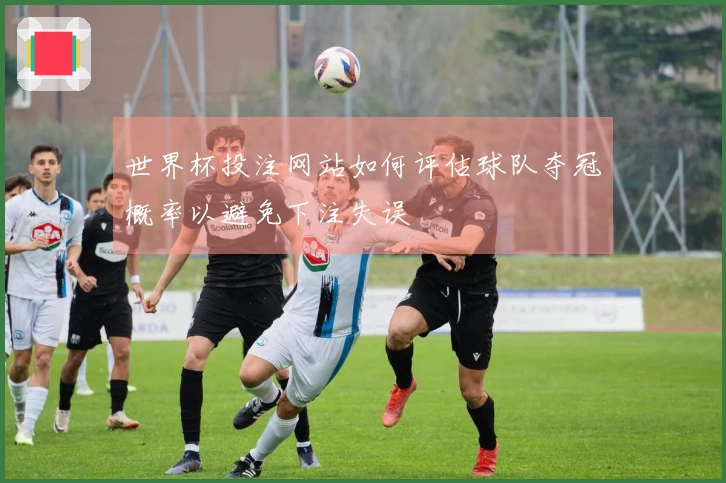 世界杯投注网站如何评估球队夺冠概率以避免下注失误