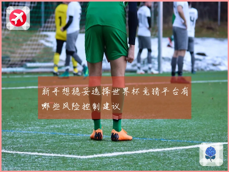 新手想稳妥选择世界杯竞猜平台有哪些风险控制建议