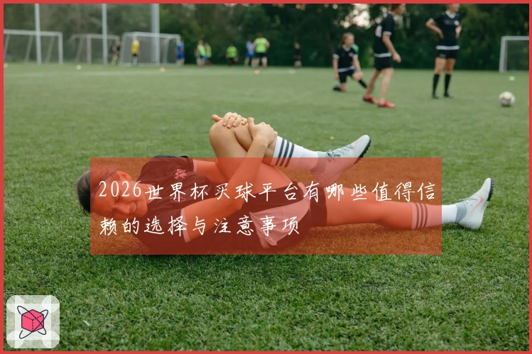 2026世界杯买球平台有哪些值得信赖的选择与注意事项