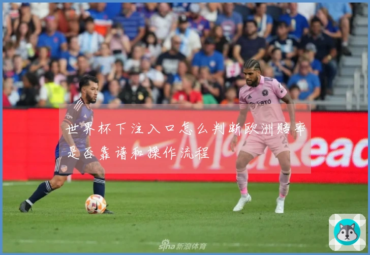 世界杯下注入口怎么判断欧洲赔率是否靠谱和操作流程